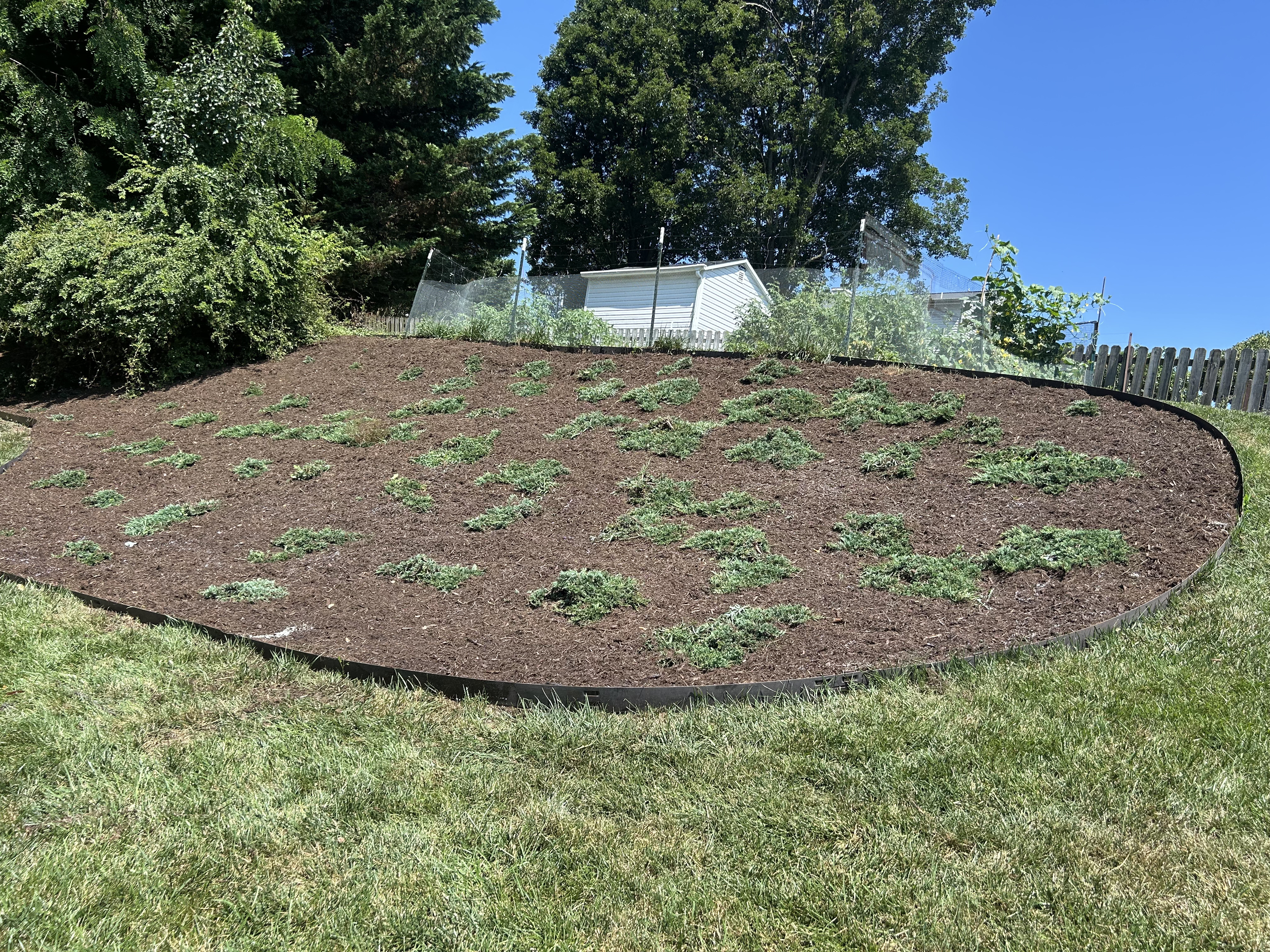 Lawn care project